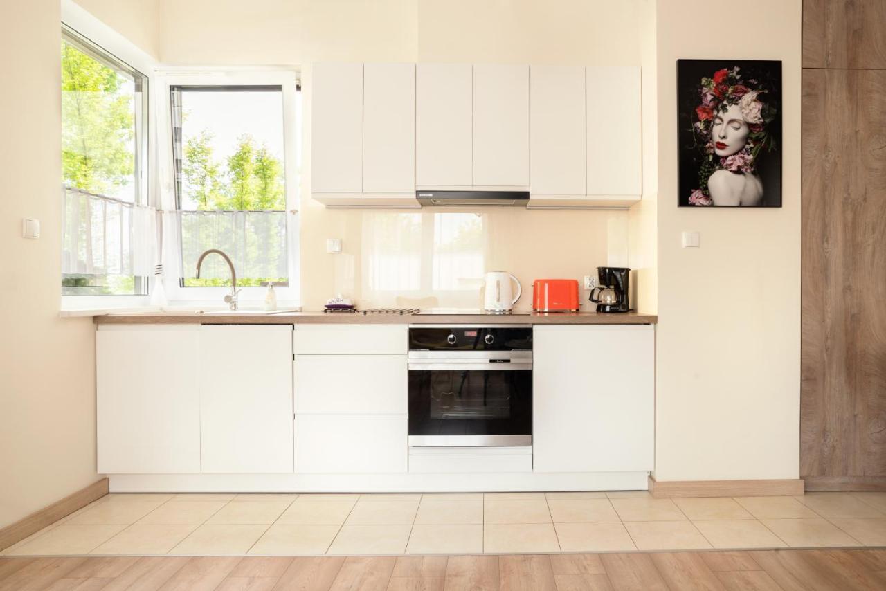 Apartament A1 Moderno Parking Stary Toruń Εξωτερικό φωτογραφία