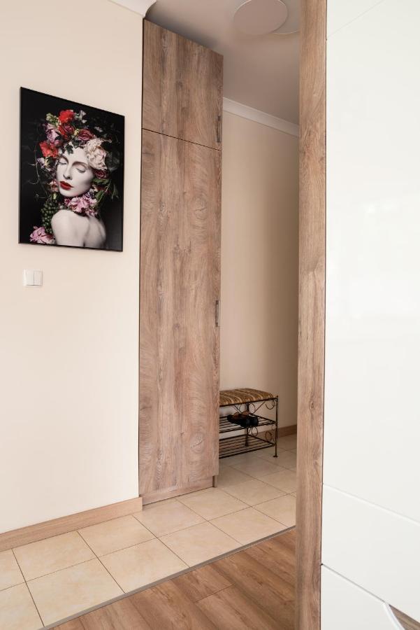 Apartament A1 Moderno Parking Stary Toruń Εξωτερικό φωτογραφία